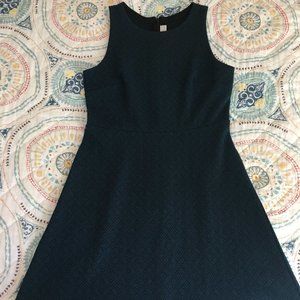 Ann Taylor Loft Petites Dress